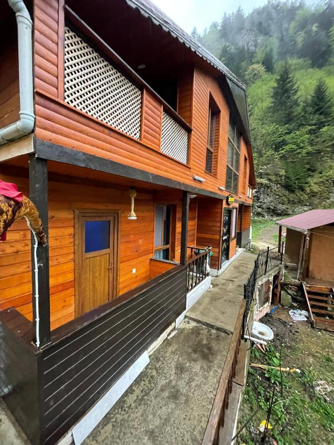 Nirvana Suite Hotel Caykara Экстерьер фото